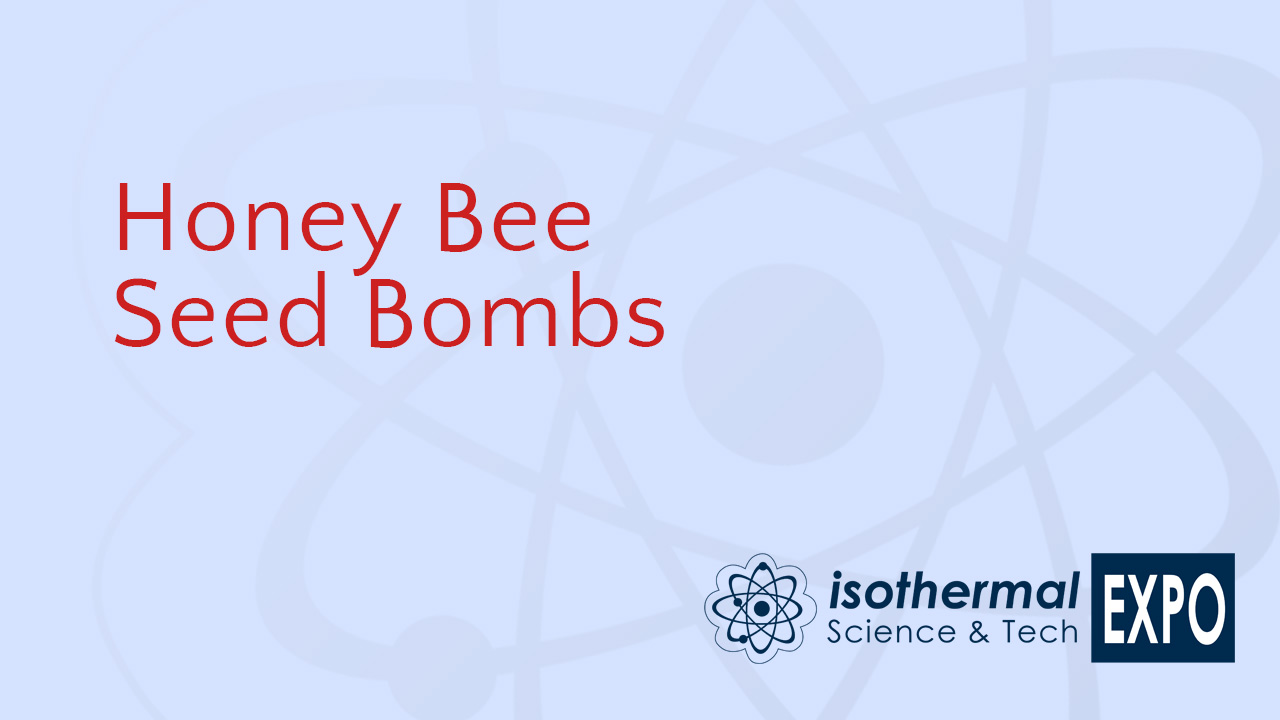 Honey bee seed bomb activity